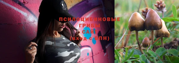 Альфа ПВП Сатка