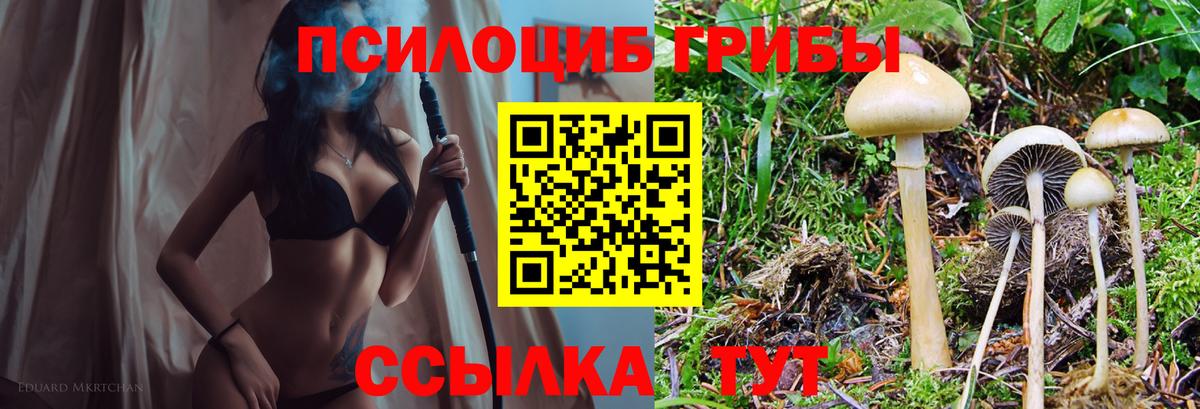 Мирный  Галлюциногенные грибы MAGIC MUSHROOMS  Галлюциногенные грибы прущие грибы  Вход с VPN 